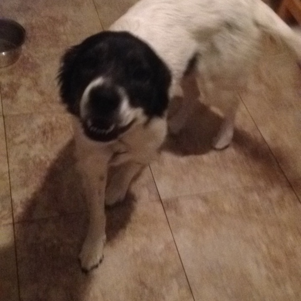 Meet your Posher, Thea